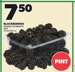 Loblaws BLACKBERRIES, PINT offer
