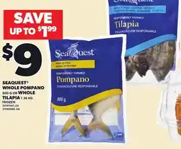 Loblaws SEAQUEST WHOLE POMPANO, 800G OR WHOLE TILAPIA, 1.36KG offer