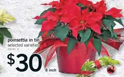 Fortinos POINSETTIA IN TIN offer