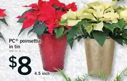 Fortinos PC POINSETTIA IN TIN, 4.5 inch offer