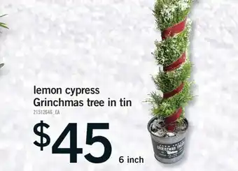 Fortinos LEMON CYPRESS GRINCHMAS TREE IN TIN offer