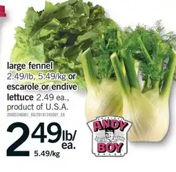 Fortinos LARGE FENNEL OR ESCAROLE OR ENDIVE LETTUCE offer