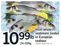 Fortinos FRESH WHOLE SEABREAM (ORATA) OR EUROPEAN SEABASS offer