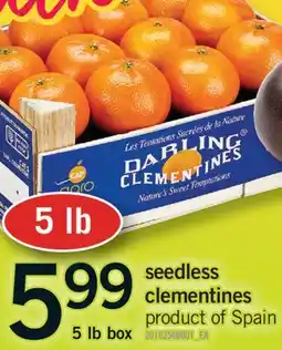 Fortinos SEEDLESS CLEMENTINES, 5 lb box offer