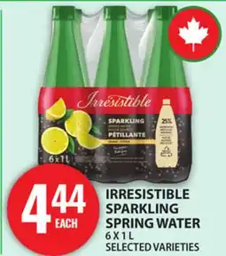 Food Basics IRRESISTIBLE SPARKLING SPRING WATER offer