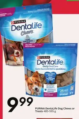 Sobeys PURINA DentaLife Dog Chews or 99 Treats offer