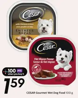 Sobeys CESAR Gourmet Wet Dog Food offer