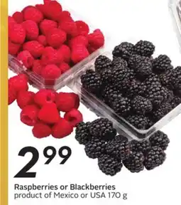 Sobeys Raspberries or Blackberries offer