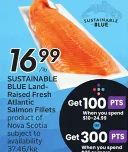 Sobeys SUSTAINABLE BLUE Land-Raised Fresh Atlantic Salmon Fillets offer