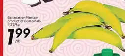 Sobeys Bananas or Plantain offer