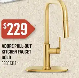 Canac Adore Pull-Out Kitchen Faucet offer