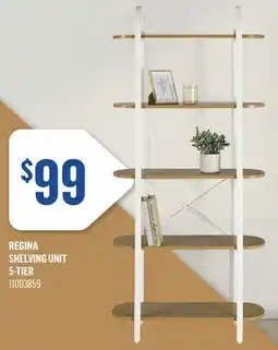 Canac Regina Shelving Unit offer