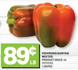 L'Intermarché POIVRONS SUNTAN MIXTES | PEPPERS offer