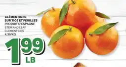 L'Intermarché CLÉMENTINES SUR TIGE ET FEUILLES | STEM AND LEAF CLEMENTINES offer