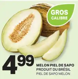 L'Intermarché MELON PIEL DE SAPO | PIEL DE SAPO MELON offer