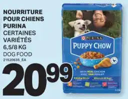 L'Intermarché NOURRITURE POUR CHIENS, 6,5/8 KG | DOG FOOD offer