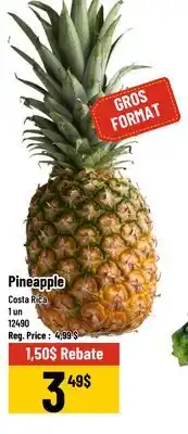 Mayrand Pineapple offer