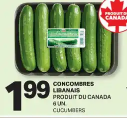 L'Intermarché CONCOMBRES LIBANAIS, 6 UN. | CUCUMBERS offer