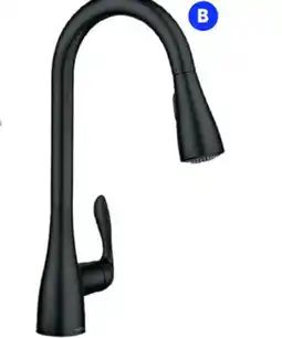 RONA MOEN Georgene, matte black finish offer