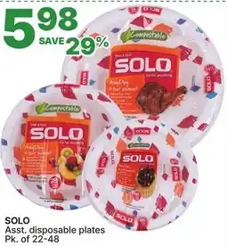 Rossy SOLO Asst. disposable plates offer