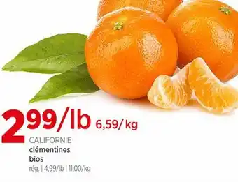 Avril clémentines bios offer