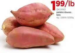 Avril patates douces bios offer