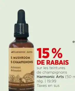 Avril sur les teintures de champignons offer