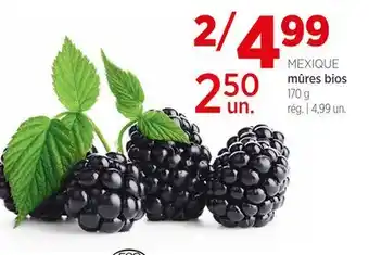 Avril mûres bios offer