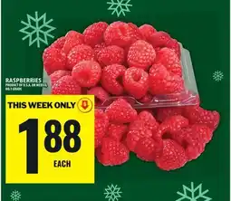 Food Basics RASPBERRIES offer