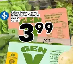 Val-Mont Laitue Boston duo ou laitue Boston Salanova offer