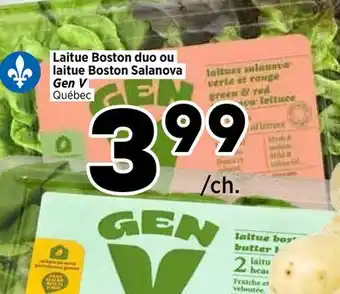 Val-Mont Laitue Boston duo ou laitue Boston Salanova offer