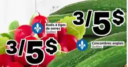 Val-Mont Radis à tiges de serres Québec Concombres anglais Québec offer