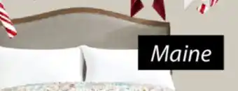 JYSK MAINE Bedspread offer