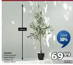 JYSK HAVHEST Artificial potted plant offer