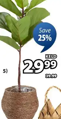 JYSK KELD Artificial potted plant, 85 cm offer