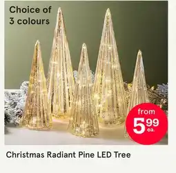 Kitchen Stuff Plus Christmas Radiant Pine LED Collection offer