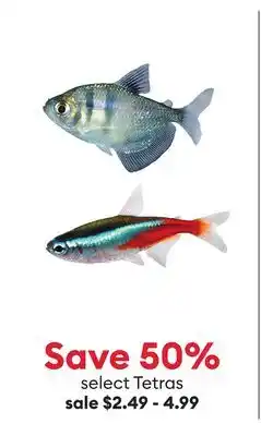 Petsmart Save 50% select Tetras offer