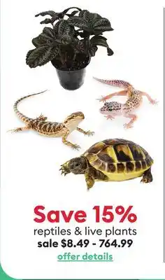 Petsmart reptiles & live plants offer