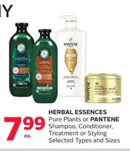 Rexall HERBAL ESSENCES Pure Plants or PANTENE Shampoo, Conditioner, Treatment or Styling offer
