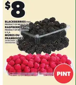 Independent City Market BLACKBERRIES PINT OR RASPBERRIES PINT offer