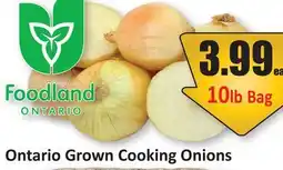 Starsky Ontario Grown Cooking Onions offer