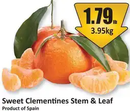 Starsky Sweet Clementines Stem & Leaf offer
