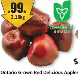Starsky Red Delicious Apples offer
