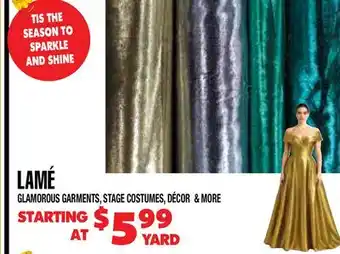 Len's Mill Stores LAME offer