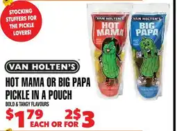 Len's Mill Stores VAN HOLTEN'S HOT MAMA OR BIG PAPA PICKLE IN A POUCH offer