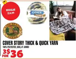 Len's Mill Stores COVER STORY THICK & QUICK YARN offer