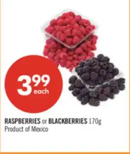 Shoppers Drug Mart RASPBERRIES or BLACKBERRIES offer