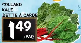 Marche Salaberry COLLARD | KALE | BETTE À CARDE offer