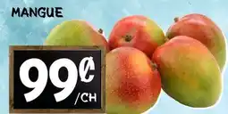 Marche Salaberry MANGUE offer