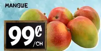 Marche Salaberry MANGUE offer